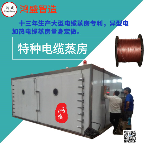 0電纜蒸房 電纜交聯(lián) (2).jpg