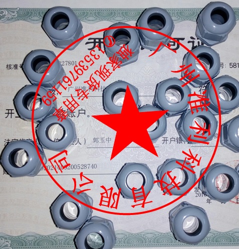 53111020 SKINTOP ST-M 20x1,5 RAL 7001 SGY Z.jpg