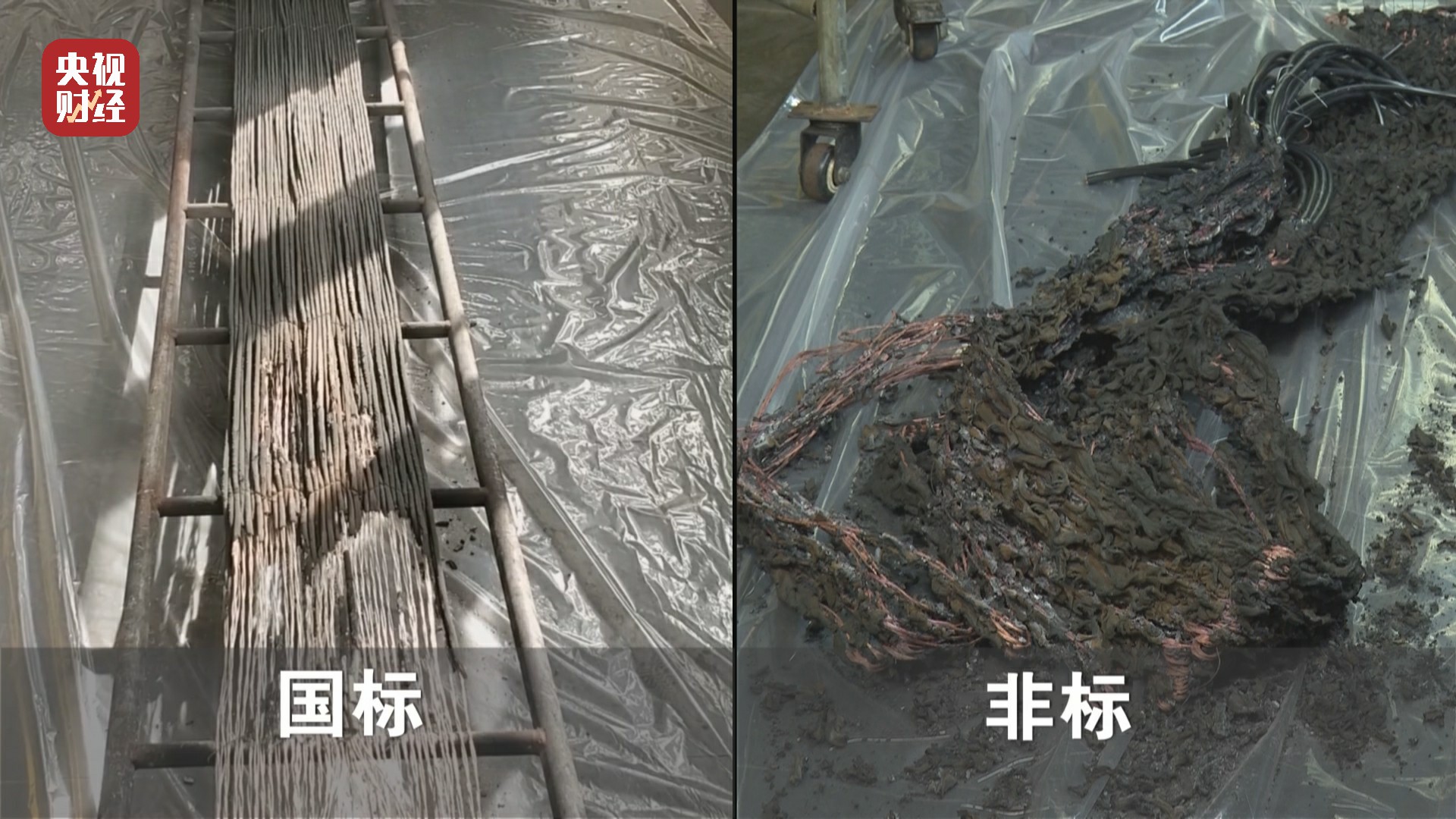 3��15����ع���A���������Ј��@�F(xi��n)���_(d��)��(bi��o)���| ����V�|���С�S���a(ch��n)